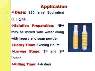 Dose: 250 larval Equivalent
(L.E.)/ha.
Solution Preparation: NPV
may be mixed with water along
with jaggry and soap powder.
Spray Time: Evening Hours
Larvae Stage: 1st and 2nd
Instar
Killing Time: 4-6 days
Application
 