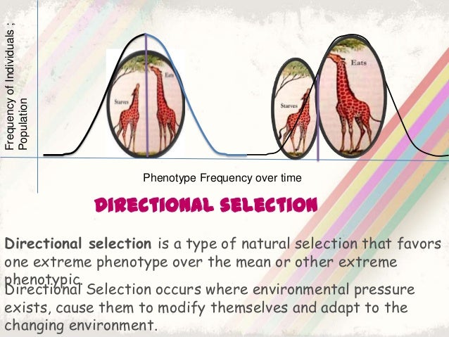 An Extreme Phenotype Natural Selection An Extreme Phenotype Natural Selection