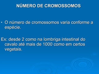 NÚMERO DE CROMOSSOMOS O número de cromossomos varia conforme a espécie.  Ex: desde 2 como na lombriga intestinal do cavalo até mais de 1000 como em certos vegetais. 