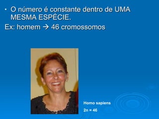 O número é constante dentro de UMA MESMA ESPÉCIE.  Ex: homem    46 cromossomos Homo sapiens 2n = 46 
