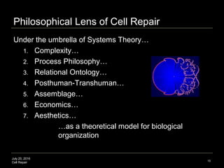 July 20, 2016
Cell Repair
Philosophical Lens of Cell Repair
Under the umbrella of Systems Theory…
1. Complexity…
2. Proces...