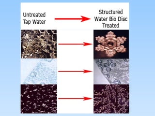 Bio Disc | PPT