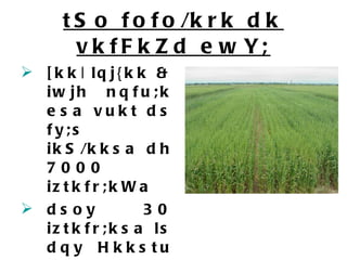 tSo fofo/krk dk vkfFkZd ewY; [kk| lqj{kk & iwjh nqfu;k esa vukt ds fy;s ikS/kksa dh 7000 iztkfr;kWa dsoy 30 iztkfr;ksa ls dqy Hkkstu dk  90%  Hkkx iwjk gks tkrk gSA  