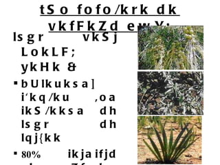 tSo fofo/krk dk vkfFkZd ewY; lsgr vkSj LokLF; ykHk &  bUlkuksa] i'kq/ku ,oa ikS/kksa dh lsgr dh lqj{kk  80%  ikjaifjd vk;qosZfnd nokvksa dk fuekZ.k] fofHkUu vkS&quot;k/kh; iztkfr ds ikS/kksa ls  ,yksiSFkh rFkk gksfe;kiSFkh nok;sa Hkh 