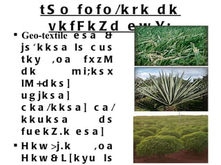 tSo fofo/krk dk vkfFkZd ewY; Geo-textile  esa & js'kksa ls cus tky ,oa fxzM dk mi;ksx lM+dks] ugjksa] cka/kksa] ca/kkuksa ds fuekZ.k esa] Hkw>j.k ,oa Hkw&L[kyu ls igkfM+;ksa dh <kykuksa dks cpkus ds fy;s tSo ;k ck;ks Mhty & djat] tVjksQk xUuk] eDdk Hkou fuekZ.k lkexzh & 