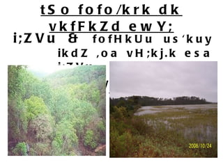 tSo fofo/krk dk vkfFkZd ewY; i;ZVu &  fofHkUu us'kuy ikdZ ,oa vH;kj.k esa i;ZVu  osV yS.M {ks=ksa esa i;ZVu   