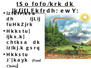 tSo fofo/krk dk ikfjfLFkfrdh; ewY; iztkfr;ksa dh ijLij fuHkZjrk Hkkstu] ijkx.k] chtksa dk izlkj.k gsrq  Hkkstu J`[kayk  (Food Chain) ] Hkkstu tky  (Food Web)   vkSj ikfjLFkfrdh iz.kkyh  (Eco System)   esa gj iztkfr dh Hkwfedk 