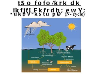 tSo fofo/krk dk ikfjfLFkfrdh; ewY; ukbVªkstu pØ  (N- cycle) 