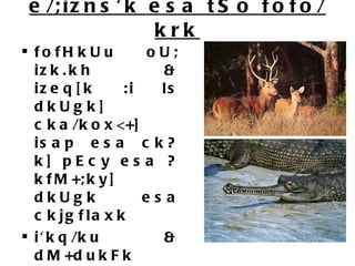 e/;izns'k esa tSo fofo/krk fofHkUu oU; izk.kh & izeq[k :i ls dkUgk] cka/kox<+] isap esa ck?k] pEcy esa ?kfM+;ky] dkUgk esa ckjgflaxk i'kq/ku & dM+dukFk eqxkZ] fuekM+h eosf'k;ksa tSlh iztkfr;k osVyS.M  (wetlands)  & Hkksiky dk Hkkst osVyS.M] pEcy unh] 
