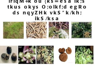 lriqM+k ou {ks= esa ik;s tkus okys O;olkf;d egRo ds nqyZHk vkS&quot;k/kh; ikS/ksa 