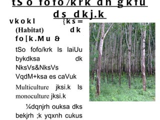 tSo fofo/krk dh gkfu ds dkj.k vkokl {ks=  (Habitat)  dk fo[k.Mu & tSo fofo/krk ls laiUu bykdksa dk NksVs&NksVs VqdM+ksa es caVuk Multiculture  jksi.k ls  monoculture  jksi.k  ¼dqnjrh ouksa dks bekjrh ;k yqxnh cukus ds fy;s lkxkSu] ;wdsfyIVl] flYoj vksd vkfn dk jksi.k½ 