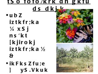 tSo fofo/krk dh gkfu ds dkj.k ubZ iztkfr;ka ¼xSj ns'kt [kjirokj iztkfr;ka½ & ikFksZfu;e] yS.Vkuk & dk vkxeu & tSofofo/krk ij Hkkjh ladV cuk 