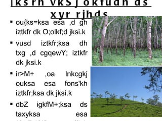 [ksrh vkSj okfudh ds xyr rjhds ou{ks=ksa esa ,d gh iztkfr dk O;olkf;d jksi.k vusd iztkfr;ksa dh txg ,d cgqewY; iztkfr dk jksi.k ir>M+ ,oa lnkcgkj ouksa esa fons'kh iztkfr;ksa dk jksi.k dbZ igkfM+;ksa ds taxyksa esa ¼mRrj&if'pe ,oa nf{k.k Hkkjr esa taxyksa ds LFkku ij pk; o dkQh ds ckxku 