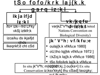 tSo fofo/krk laj{k.k gsrq iz;kl  ikjaifjd iz;kl vk/kqfud iz;kl ifo= izk—frd LFky vkSj iztkfr;k izca/ku ds ikjaifjd rjhds lkeqnkf;d cht cSd varjkZ&quot;Vªh; le>kSrk  (United Nations Convention on Biological Diversity ) jk&quot;Vªh; vf/kfu;e   oulaj{k.k vf/kfu;e 1980]  oU;tho lqj{kk vf/kfu;e 1972 ]  i;kZoj.k laj{k.k vf/kfu;e 1986]  tSo fofo/krk laj{k.k vf/kfu;e 2002 In situ  jk&quot;Vªh; m|ku] vH;kj.;] ou{ks=]  Ex situ Conservation  iz;ksx'kkyk] thu cSad] laxzgky; ouLifr m|ku 