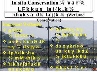 In situ Conservation  ¼var% LFkkus laj{k.k½  >hyksa dk laj{k.k   (WetLand Conservation ) Important Wetlanda gfjds ¼iatkc½  osEckun&dksy ¼dsjy½ fpYdk>hy ¼mM+hlk½ Hkhrjdfudk esuxzwo ¼mM+hlk½ iwoZ dksydkrk csVyWaM ¼i-caxky½ lkaHkj>hy ¼jktLFkku½ dsoyknso us'kuy ikdZ ¼jktLFkku½ Hkkst ¼e-iz-½ yksdrd >hy ¼ef.kiqj½ 