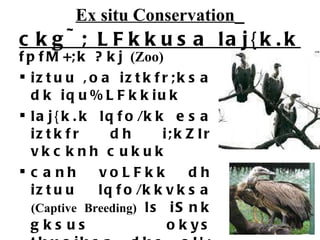 Ex situ Conservation   ckg~; LFkkusa laj{k.k fpfM+;k ?kj  (Zoo) iztuu ,oa iztkfr;ksa dk iqu%LFkkiuk laj{k.k lqfo/kk esa iztkfr dh i;kZIr vkcknh cukuk canh voLFkk dh iztuu lqfo/kkvksa  (Captive   Breeding)  ls iSnk gksus okys tkuojksa dks oU;{ks=ksa esa j[kuk e.g.  Hkkjr esa lQsn dwcM+okys fx)  (white-Rumped Valture) Hkkjrh; fx)  (Indian   Valture) 