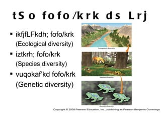 tSo fofo/krk ds Lrj ikfjfLFkdh; fofo/krk  (Ecological diversity) iztkrh; fofo/krk  (Species diversity) vuqokaf’kd fofo/krk  (Genetic diversity) 