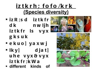 iztkrh; fofo/krk  (Species diversity) izR;sd iztkfr dk nwljh iztkfr ls vyx gksuk  ekuo] yaxwj lky] djat] uhe vyx&vyx iztkfr;kWa different kinds of organisms, relationships among species 