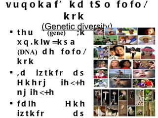vuqokaf’kd tSo fofo/krk  (Genetic diversity) thu  (gene)   ;k xq.klw=ksa  (DNA)  dh fofo/krk ,d iztkfr ds Hkhrj ih<+h nj ih<+h fdlh Hkh iztkfr ds Hkhrj ikbZ tkus okyh fofo/krk different genes & combinations of genes 