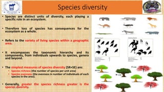 Species diversity
• Species are distinct units of diversity, each playing a
specific role in an ecosystem.
• Therefore loss of species has consequences for the
ecosystem as a whole.
• Refers to the variety of living species within a geographic
area.
• It encompasses the taxonomic hierarchy and its
components, from individuals upwards to species, genera
and beyond.
• The simplest measures of species diversity (SR+SE) are:
• Species richness (the number of species per unit area)
• Species evenness (the evenness in number of individuals of each
species in the area).
• Generally, greater the species richness greater is the
species diversity.
2/4/2024 10
 
