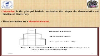 • Interaction is the principal intrinsic mechanism that shapes the characteristics and
functions of biodiversity.
• These interactions are a hierarchical nature.
2/4/2024 6
 