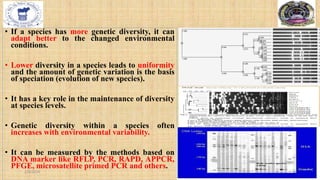 • If a species has more genetic diversity, it can
adapt better to the changed environmental
conditions.
• Lower diversity in a species leads to uniformity
and the amount of genetic variation is the basis
of speciation (evolution of new species).
• It has a key role in the maintenance of diversity
at species levels.
• Genetic diversity within a species often
increases with environmental variability.
• It can be measured by the methods based on
DNA marker like RFLP, PCR, RAPD, APPCR,
PFGE, microsatellite primed PCR and others.
2/4/2024 9
 