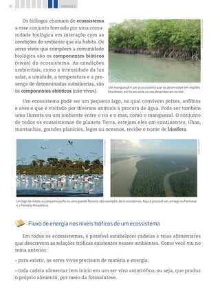 30 UNIDADE 1
Os biólogos chamam de ecossistema
a esse conjunto formado por uma comu-
nidade biológica em interação com as
condições do ambiente que ela habita. Os
seres vivos que compõem a comunidade
biológica são os componentes bióticos
(vivos) do ecossistema. As condições
ambientais, como a intensidade da luz
solar, a umidade, a temperatura e a pre-
sença de determinadas substâncias, são
os componentes abióticos (não vivos).
Um ecossistema pode ser um pequeno lago, no qual convivem peixes, anfíbios
e aves e que é visitado por diversos animais à procura de água. Pode ser também
uma floresta ou um ambiente entre o rio e o mar, como o manguezal. O conjunto
de todos os ecossistemas do planeta Terra, estejam eles em continentes, ilhas,
montanhas, grandes planícies, lagos ou oceanos, recebe o nome de biosfera.
©FabioColombini
©PalêZuppani/PulsarImagens
Um lago de médio ou pequeno porte ou uma grande floresta são exemplos de ecossistemas. Aqui é possível ver um lago no Pantanal
e a Floresta Amazônica.
Fluxo de energia nos níveis tróficos de um ecossistema
Em todos os ecossistemas, é possível estabelecer cadeias e teias alimentares
que descrevem as relações tróficas existentes nesses ambientes. Como você viu no
tema anterior:
•	para existir, os seres vivos precisam de matéria e energia;
•	toda cadeia alimentar tem início em um ser vivo autotrófico, ou seja, que produz
o próprio alimento, por meio da fotossíntese.
©SofiaColombini/FabioColombini
Um manguezal é um ecossistema que se desenvolve em re­giões
litorâneas, em locais onde os rios desembocam no mar.
 