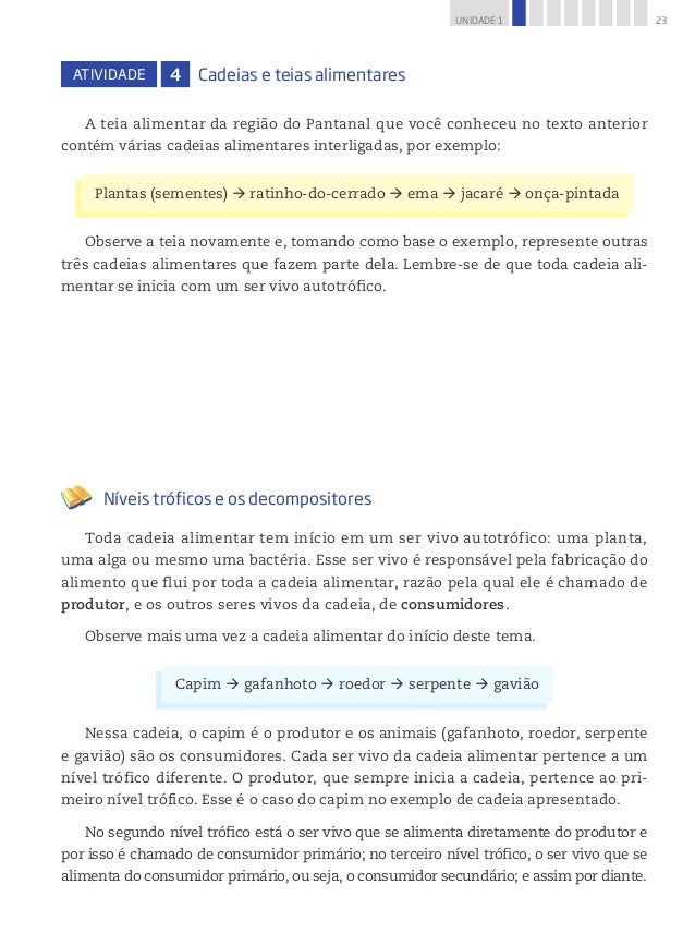 A Teia De Aranha Alimentar Pdf To Word