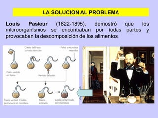 LA SOLUCION AL PROBLEMA Louis Pasteur   (1822-1895),  demostró   que los microorganismos se encontraban por todas partes y provocaban la descomposición de los alimentos. 