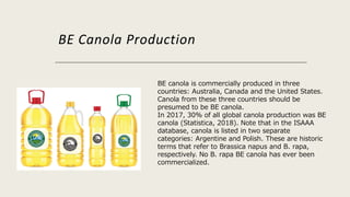 BE Canola Production
BE canola is commercially produced in three
countries: Australia, Canada and the United States.
Canola from these three countries should be
presumed to be BE canola.
In 2017, 30% of all global canola production was BE
canola (Statistica, 2018). Note that in the ISAAA
database, canola is listed in two separate
categories: Argentine and Polish. These are historic
terms that refer to Brassica napus and B. rapa,
respectively. No B. rapa BE canola has ever been
commercialized.
 