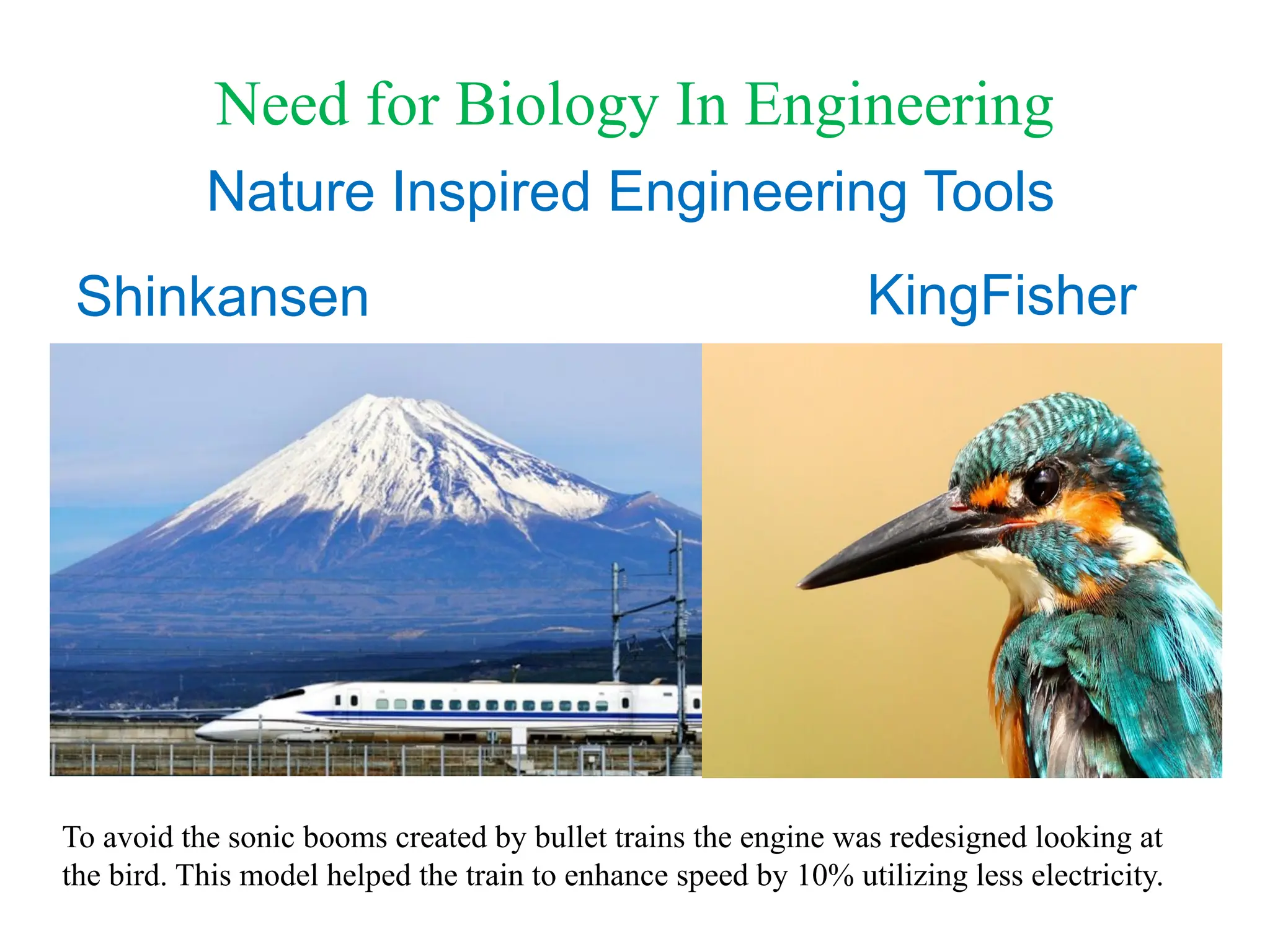 Bio - Engineering- Introduction.ppt.pdf