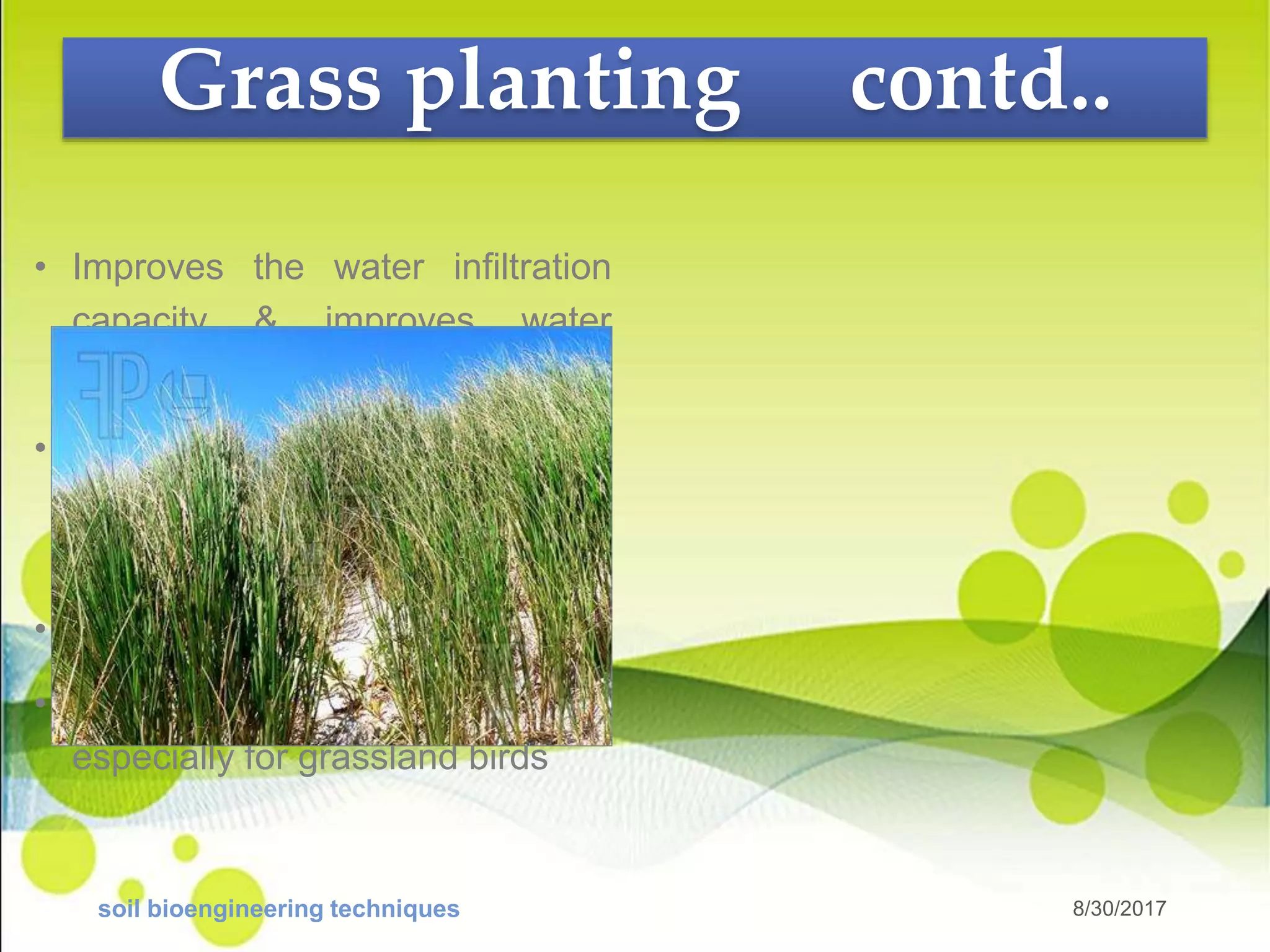 Bio engineering techniques for soil errosion control. | PPTX