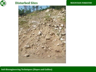 Bio enginerring structure in westren himalayan, pakistan | PPT