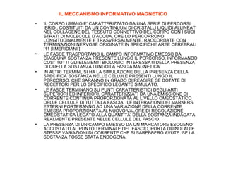 IL MECCANISMO INFORMATIVO MAGNETICO
•

•

•

•

•

IL CORPO UMANO E’ CARATTERIZZATO DA UNA SERIE DI PERCORSI
IBRIDI, COSTITUITI DA UN CONTINUUM DI CRISTALLI LIQUIDI ALLINEATI
NEL COLLAGENE DEL TESSUTO CONNETTIVO DEL CORPO CON I SUOI
STRATI DI MOLECOLE D’ACQUA, CHE LO PERCORRONO
LONGITUDINALMENTE E TRASVERSALMENTE, RACCORDATE CON
TERMINAZIONI NERVOSE ORIGINATE IN SPECIFICHE AREE CEREBRALI
[11 [I MERIDIANI ]
LE FASCE TRASPORTANO IL CAMPO INFORMATIVO EMESSO DA
CIASCUNA SOSTANZA PRESENTE LUNGO IL PERCORSO, INFORMANDO
COSI’ TUTTI GLI ELEMENTI BIOLOGICI INTERESSATI DELLA PRESENZA
DI QUELLA SOSTANZA LUNGO LA FASCIA MAGNETICA.
IN ALTRI TERMINI, SI HA LA SIMULAZIONE DELLA PRESENZA DELLA
SPECIFICA SOSTANZA NELLE CELLULE PRESENTI LUNGO IL
PERCORSO, CHE SARANNO IN GRADO DI REAGIRE SE DOTATE DI
RECETTORI PER LO SPECIFICO LEGANTE SIMULATO.
LE FASCE TERMINANO SU PUNTI CARATTERISTICI DEGLI ARTI
SUPERIORI ED INFERIORI, CARATTERIZZATI DA UNA EMISSIONE DI
CORRENTE CONTINUA PROPORZIONATA AL LIVELLO OMEOSTATICO
DELLE CELLULE DI TUTTA LA FASCIA. LE INTERAZIONI DEI MARKERS
ESTERNI PORTERANNO AD UNA VARIAZIONE DELLA CORRENTE
EMESSA PROPORZIONATA AL NUOVO VALORE DI REGOLAZIONE
OMEOSTATICA LEGATO ALLA QUANTITA’ DELLA SOSTANZA INDAGATA
REALMENTE PRESENTE NELLE CELLULE DEL FASCIO.
LA PRESENZA DI UN CAMPO EMESSO DA UN MARCATORE ESOGENO
ACCOSTATO AL PUNTO TERMINALE DEL FASCIO, PORTA QUINDI ALLE
STESSE VARIAZIONI DI CORRENTE CHE SI SAREBBERO AVUTE SE LA
SOSTANZA FOSSE STATA ENDOGENA.

 