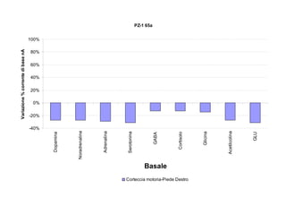 Basale

Corteccia motoria-Piede Destro
GLU

Acetilcolina

Glicina

Cortisolo

GABA

Serotonina

Adrenalina

Noradrenalina

Dopamina

Variazione % corrente di base nA

PZ-1 65a

100%

80%

60%

40%

20%

0%

-20%

-40%

 