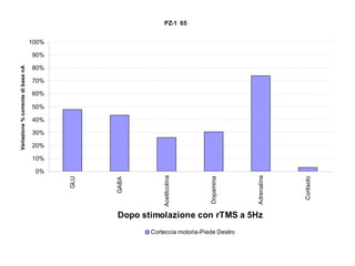 PZ-1 65
100%

80%
70%
60%
50%
40%
30%
20%
10%

Dopo stimolazione con rTMS a 5Hz
Corteccia motoria-Piede Destro

Cortisolo

Adrenalina

Dopamina

Acetilcolina

GABA

0%
GLU

Variazione % corrente di base nA

90%

 