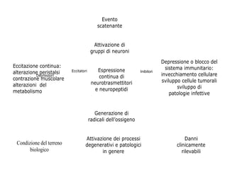 Evento
scatenante
Attivazione di
gruppi di neuroni
Eccitazione continua:
alterazione peristalsi
Depressori
contrazione muscolare
alterazioni del
metabolismo

Eccitatori

Espressione
continua di
neurotrasmettitori
e neuropeptidi

Inibitori

Depressione o blocco del
sistema immunitario:
invecchiamento cellulare
sviluppo cellule tumorali
sviluppo di
patologie infettive

Generazione di
radicali dell’ossigeno

Condizione del terreno
biologico

Attivazione dei processi
degenerativi e patologici
in genere

Danni
clinicamente
rilevabili

 
