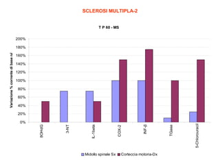 SCLEROSI MULTIPLA-2
T P 60 - MS
200%

160%
140%
120%
100%
80%
60%
40%

Midollo spinale Sx

Corteccia motoria-Dx

TGase

INF-β

COX-2

IL-1beta

3-NT

0%

5-Chlorouracil

20%
8OHdG

Variazione % corrente di base nA

180%

 
