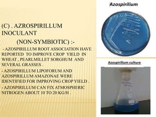 (C) . AZROSPIRILLUM
INOCULANT
(NON-SYMBIOTIC) :-
- AZOSPIRILLUM ROOT ASSOCIATION HAVE
REPORTED TO IMPROVE CROP YIELD IN
WHEAT , PEARLMILLET SORGHUM AND
SEVERAL GRASSES .
- AZOSPIRILLUM LIPOFORUM AND
AZOSPIRILLUM AMAZONAE WERE
IDENTIFIED FOR IMPROVING CROP YIELD .
- AZOSPIRILLUM CAN FIX ATMOSPHERIC
NITROGEN ABOUT 10 TO 20 KG/H .
 