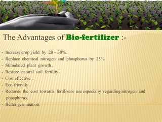 The Advantages of Bio-fertilizer :-
- Increase crop yield by 20 – 30%.
- Replace chemical nitrogen and phosphorus by 25%.
- Stimulated plant growth .
- Restore natural soil fertility .
- Cost effective .
- Eco-friendly .
- Reduces the cost towards fertilizers use especially regarding nitrogen and
phosphorus.
- Better germination.
 