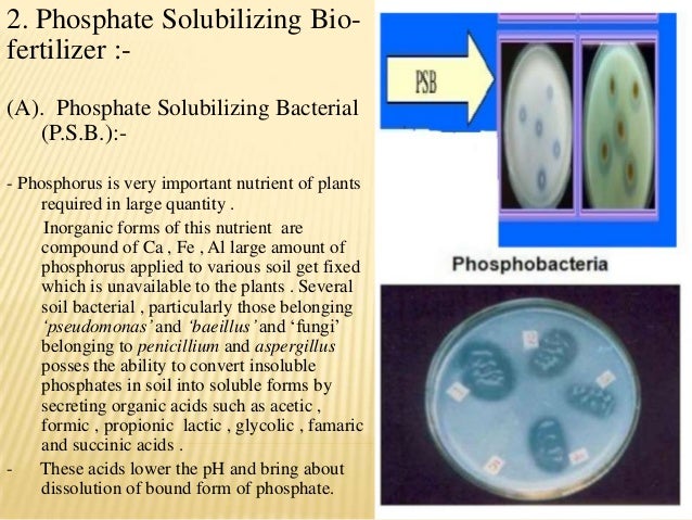 n convert kg to fertilizer efficiency Bio ,  aditya use by and phosphorus
