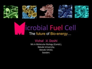 icrobial Fuel Cell
The future of Bio-energy…M Vishal .V. Doshi
Ms in Molecular Biology (Contd.),
Skövde University,
Skövde-54162,
Sweden.
 