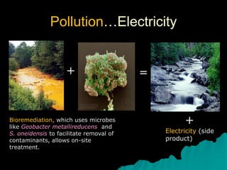 Pollution…Electricity
+ =
Bioremediation, which uses microbes
like Geobacter metallireducens and
S. oneidensis to facilitate removal of
contaminants, allows on-site
treatment.
+
Electricity (side
product)
 