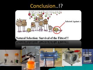 Conclusion..!?
 