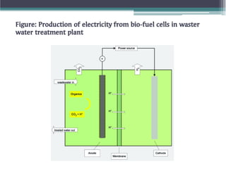 Bio fuel cells | PDF