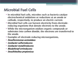 Microbial Fuel Cells
•
•
•
•
•
•
•
•
•
In microbial fuel cells, microbes such as bacteria catalyze
electrochemical oxidations or reductions at an anode or
cathode, respectively, to produce an electric current.
Microbial fuel cells can harvest electricity from electrode-
reducing organisms that donate electrons to the anode.
While the microorganism oxidizes organic compounds or
substrates into carbon dioxide, the electrons are transferred to
the anode.
Examples of electrode-reducing microorganisms,
Desulfuromonas acetoxidans
Geobacter sulfurreducens
Geobacter metallireducens
Rhodoferaxf errireducens
Desulfobulbus propionicus
 