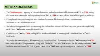 BIOGAS AND MICROBIOLOGY OF ANAEROBIC FERMENTATION. | PPTX