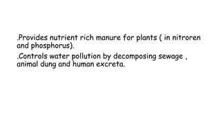 .Provides nutrient rich manure for plants ( in nitroren
and phosphorus).
.Controls water pollution by decomposing sewage ,
animal dung and human excreta.
 