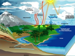 Bio-geochemical Cycles