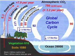 Bio-geochemical Cycles